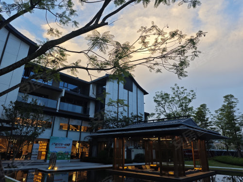 山西保德：庭院小菜园织就乡村“小而美”民生图景