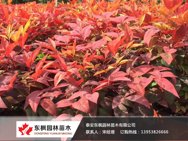 “最后一劝”法官我忘记开庭了！