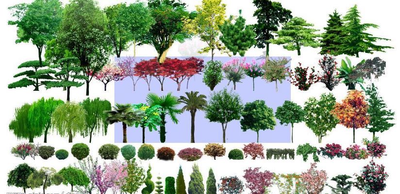 济南公园景区“双节”欢乐多